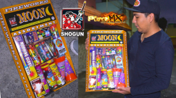 SHOGUN MOON FOUNTAIN ASST. S&S